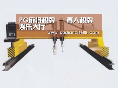 产品名称十七