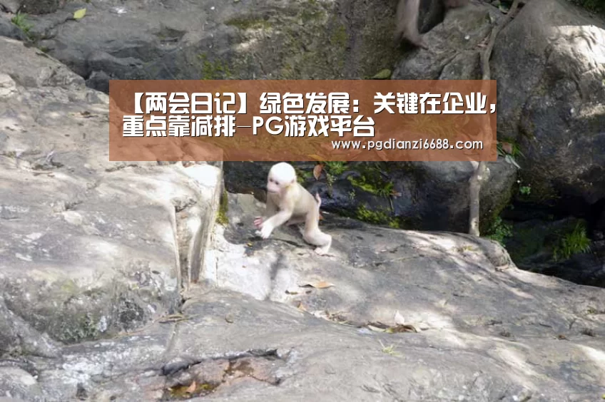 【两会日记】绿色发展:关键在企业,重点靠减排-PG游戏平台(图1) PG麻将棋牌