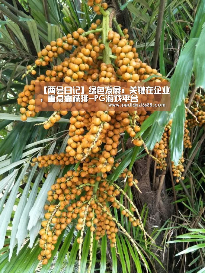 【两会日记】绿色发展:关键在企业,重点靠减排-PG游戏平台(图3) PG游戏平台