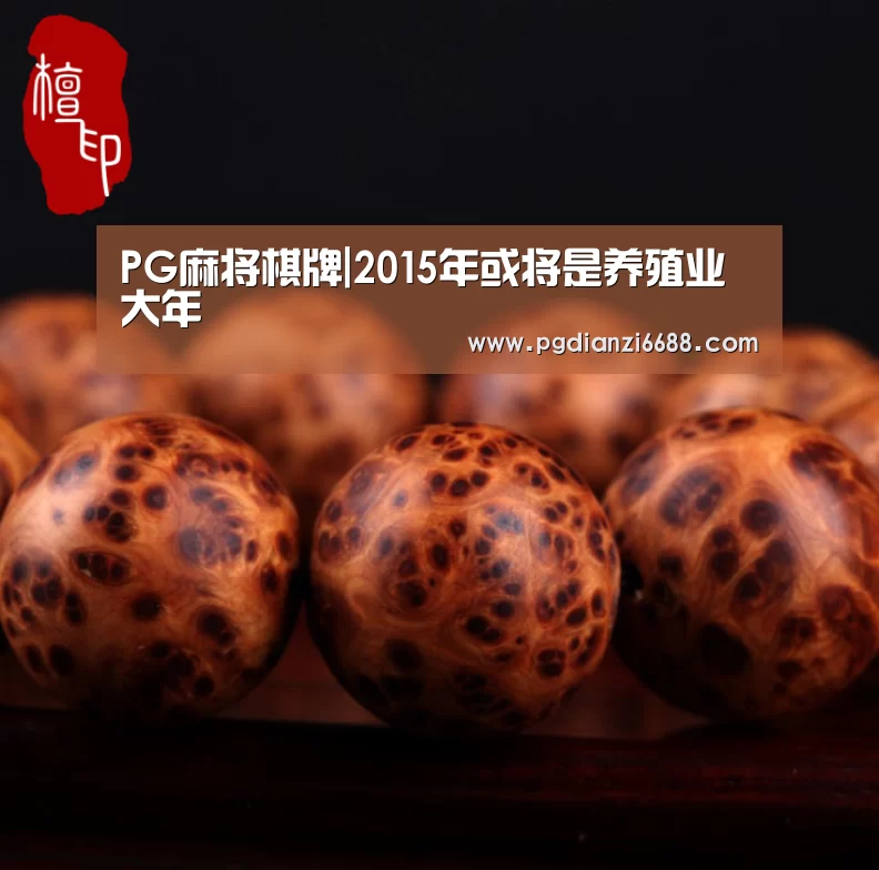 PG麻将棋牌