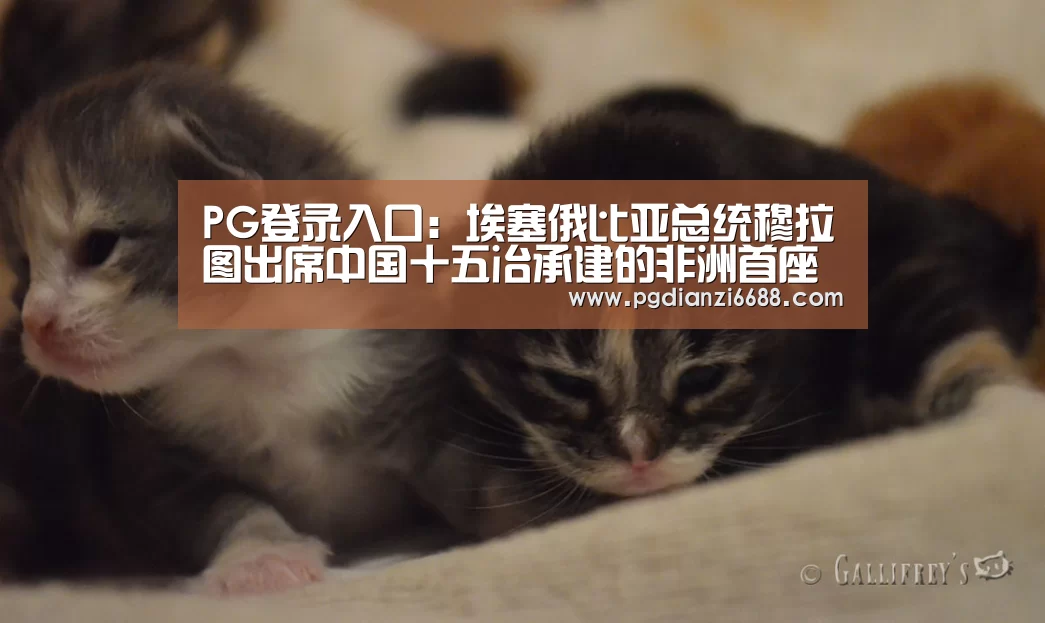 PG游戏平台