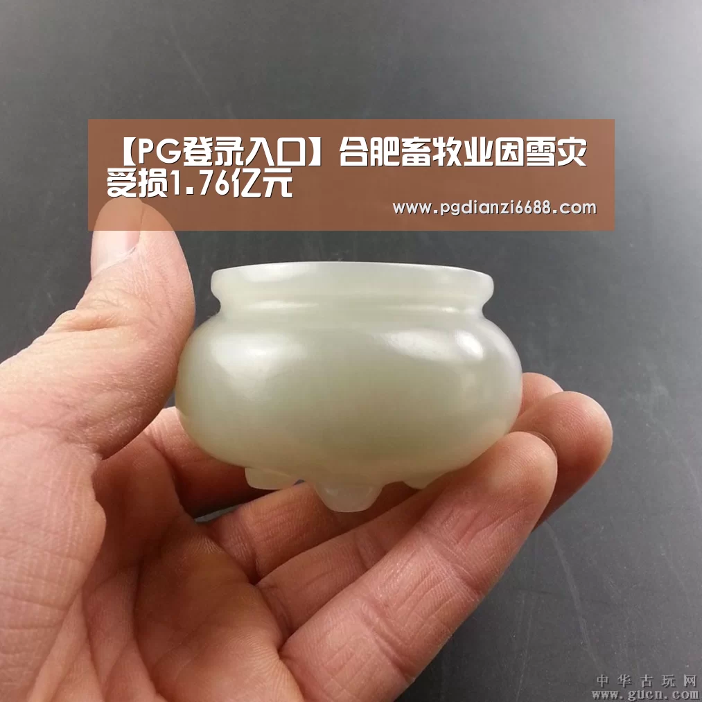 【PG登录入口】合肥畜牧业因雪灾受损1.76亿元(图1) PG电子平台