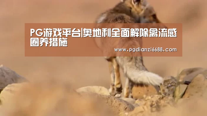 PG游戏平台|奥地利全面解除禽流感圈养措施(图2) PG游戏平台