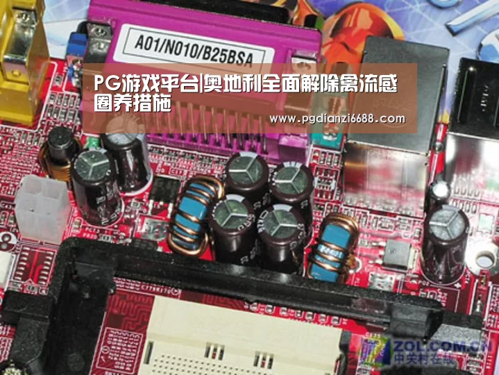 PG游戏平台|奥地利全面解除禽流感圈养措施(图3) PG登录入口