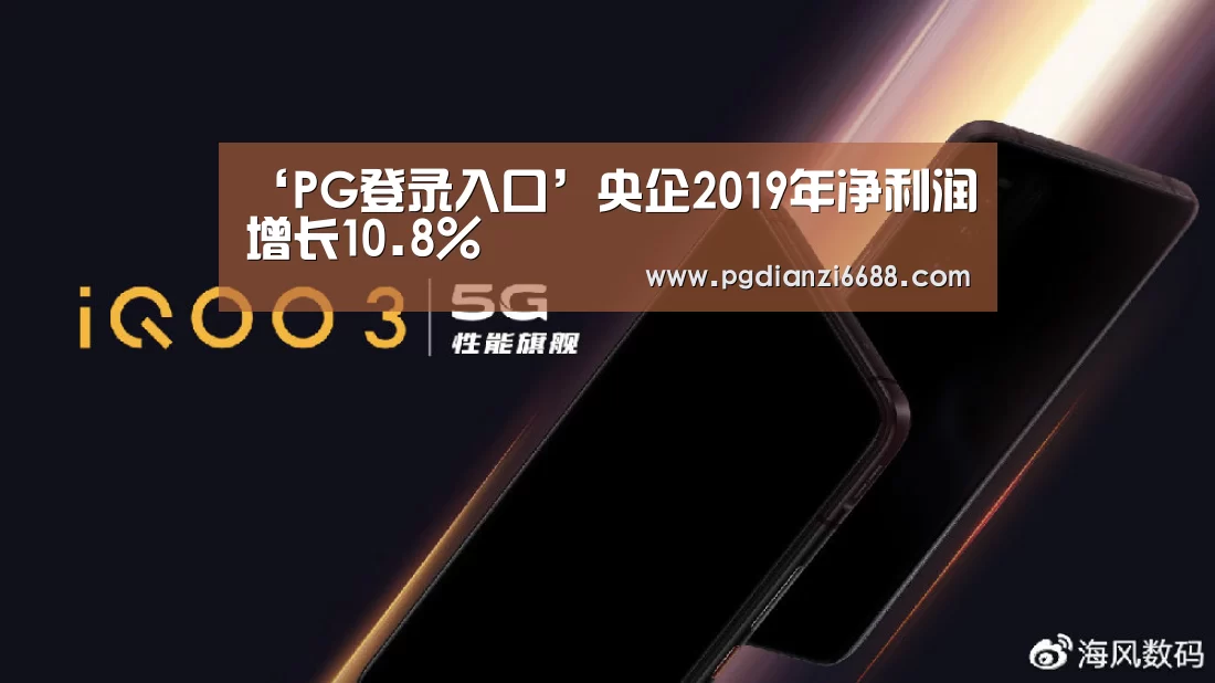 ‘PG登录入口’央企2019年净利润增长10.8%(图3) PG游戏平台