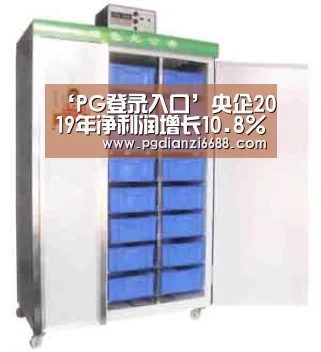 ‘PG登录入口’央企2019年净利润增长10.8%(图1) PG登录入口