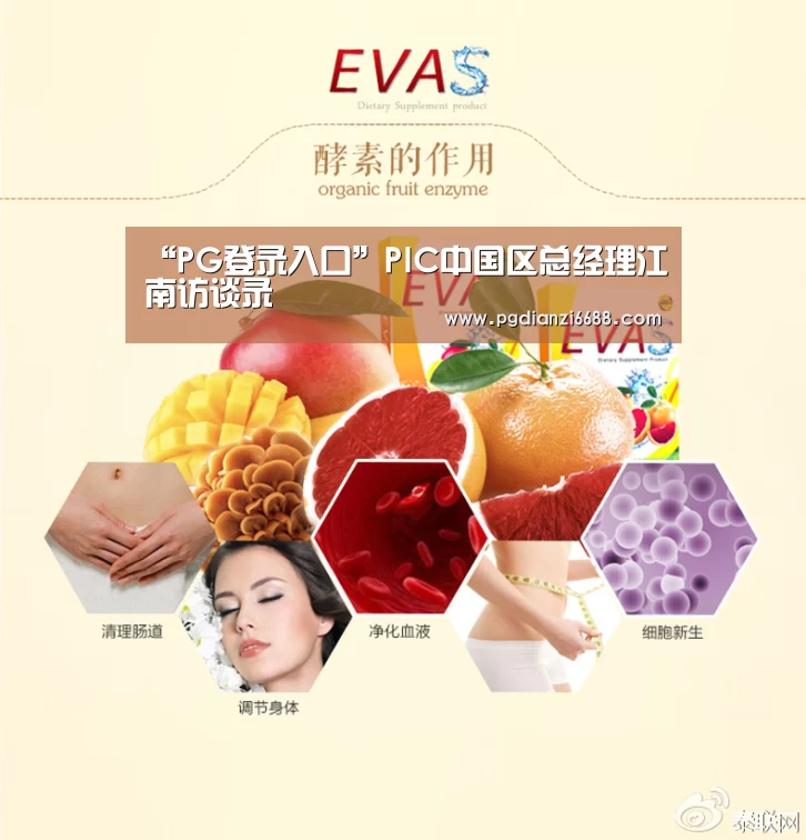 “PG登录入口”PIC中国区总经理江南访谈录(图2) PG麻将棋牌