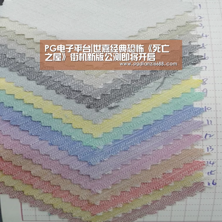 PG电子平台|世嘉经典恐怖《死亡之屋》街机新版公测即将开启(图1) PG游戏平台