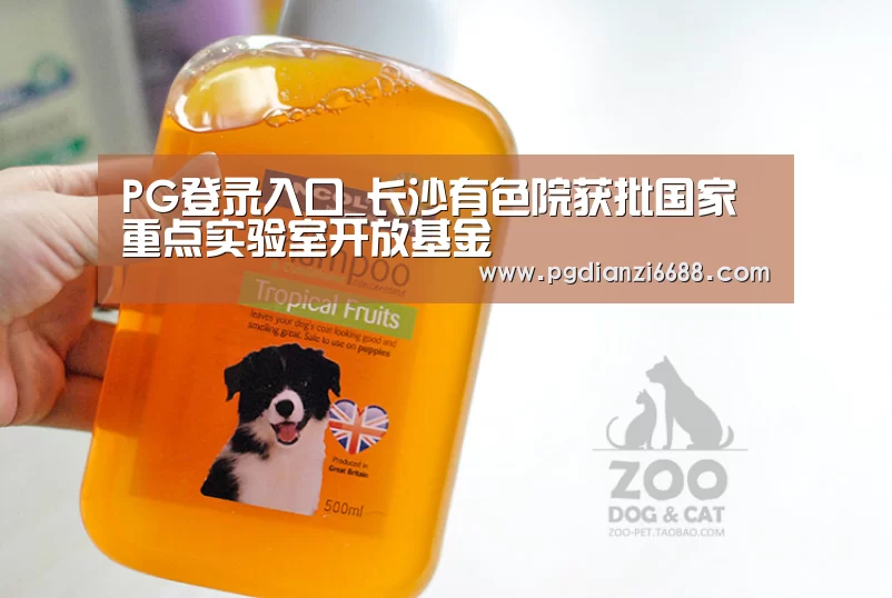 PG登录入口_长沙有色院获批国家重点实验室开放基金(图2) PG登录入口