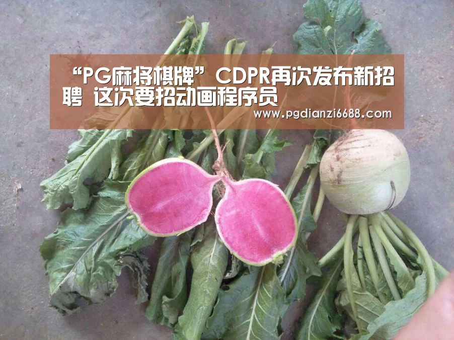 “PG麻将棋牌”CDPR再次发布新招聘 这次要招动画程序员(图1) PG电子平台